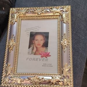 Forever 21 Gold and Pink Ornate Decorative Frame